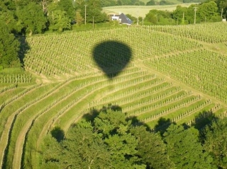Au dessus des vignes